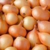 Fresh Onions