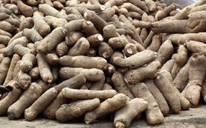 YAM